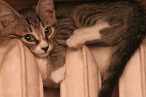 Главные нововведения осени, которые обрадуют и огорчат граждан Украины