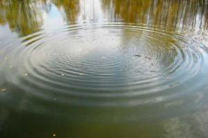 На Донетчине спасатели достали из озера тело 56-летнего мужчины