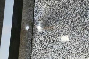 Нусс: покушение на Шокина - это было предупреждение без слов