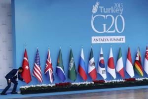 Курьезы: на саммит G20 прибыли не только мировые политики, но и местные коты. Видео