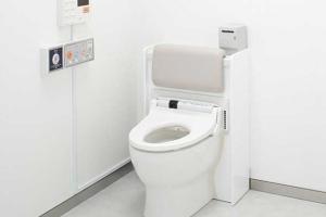 Смышленые японцы разработали "умный" унитаз 