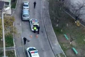 Во Львове собака крепко "подставила" полицейских: авто патрульных въехало в припаркованную легковушку