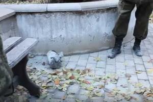 Жители Донецка рассказали о сегодняшнем обстреле центра города: прилет был со стороны Песок
