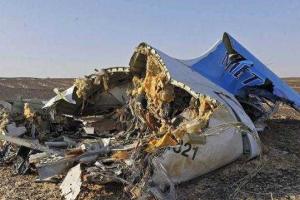 Эксперты: пассажиры Airbus A321 погибли еще в воздухе из-за взрыва бомбы на борту