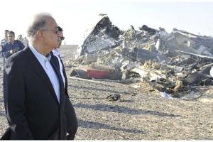 Собранные на месте крушения Airbus321 тела везут в Каир для проведения экспертизы ДНК