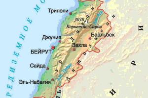 Политик: россияне считают Ливан районом Москвы