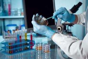 ООН: В Ираке вспышка холеры, уже более двух тысяч больных 