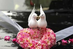 Энергоблокада Крыма "поставила крест" на громких свадьбах: молодоженам теперь надо получать отдельное разрешение