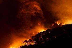 В Австралии бушуют сильные пожары: туристов и население эвакуируют из опасных районов