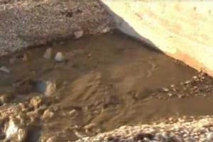 Крым на пороге экологической катастрофы: земли и вода загрязнены фекалиями