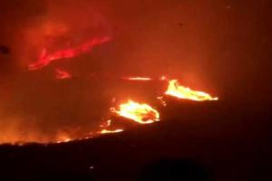 В Сеть попало впечатляющее видео: лесные пожары в Австралии из окна проезжающего авто