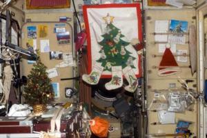 Астронавты МКС отпраздновали Рождество на борту космической станции