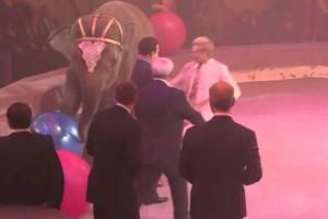 В Питере на торжественном открытии цирка слон чуть не растоптал Кобзона