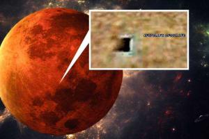 Исследователи считают, что NASA намеренно скрывает от людей существование жизни на Марсе