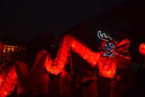 Во Львове провели празднования по встрече Китайского нового года