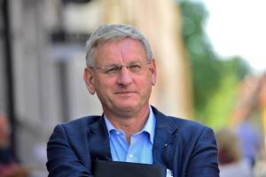 Бильдт: в Кремле не совсем понимают, что делать с Донбассом