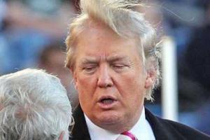 Певица Адель запретила использовать свои песни в предвыборной кампании Дональда Трампа