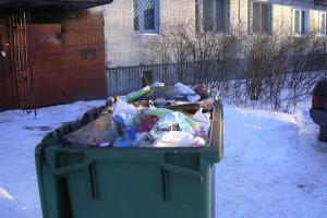 В России женщина, родив мертвого ребенка, выбросила его в мусорный контейнер возле дома