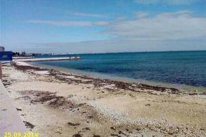 В Крыму из-за "огромного наплыва туристов" предлагают сделать турсезон круглогодичным