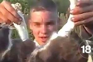 Российская полиция вычислила жителей Рязани, которые сняли видео жестокой расправы над живым котом