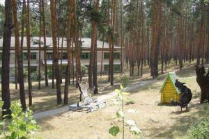 На Луганщине с этого летнего оздоровительного сезона возобновит свою работу детский лагерь "Мрия"
