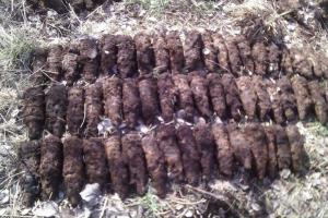 На Львовщине в поле обнаружен целый склад боеприпасов времен ВОВ