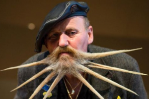 В Германии провели конкурс на самую необычную бороду