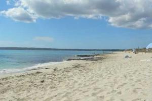 В Испании отдыхающий на пляже случайно нашел кокаин на 4 млн долларов