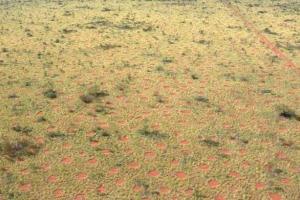 В пустыне Австралии обнаружена необъяснимая аномалия - загадочные "дьявольские круги" 