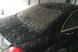 Во Львове на головы прохожих лились потоки дождя оранжевого цвета