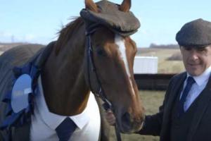 В Британии к грядущему Челтнемскому конному фестивалю сшили первый в мире твидовый костюм для коня