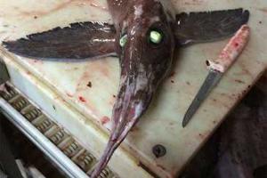 В Канаде рыбаки выловили рыбу-мутанта с неоновыми глазами