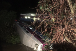 В американском штате Калифорния пассажирский поезд сошел с рельсов, есть пострадавшие