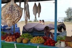 Власти Крыма запретили местным рыбакам ловить рыбу в море, лиманах и крымских пресных озерах
