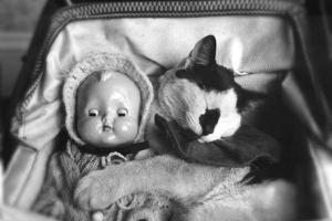 Нелепая смерть: в России домашняя кошка "случайно" убила 2-месячную девочку