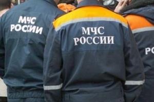 В российском городе Биробиджан из-за сумки с котятами перекрыли движение транспорта и провели эвакуацию целого дома