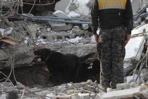 Среди жертв землетрясения в Эквадоре есть иностранные граждане: всего погибло - 507 человек