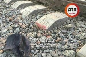 Под Киевом женщину, перебегавшую железнодорожные пути, разорвало поездом