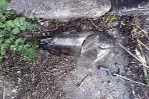 В Мариуполе неизвестные устроили взрыв во дворе частного дома, жертв нет 