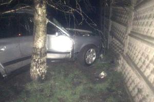 В Ровно водитель "Audi 100" влетел в дерево и, бросив раненую пассажирку, сбежал с места ДТП
