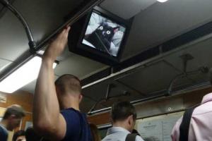 На мониторах киевского метро хакеры разместили изображения котов