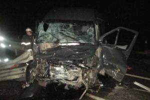 На Ровенщине ночью микроавтобус "Mercedes Benz 313" раздавил повозку с людьми, есть жертвы