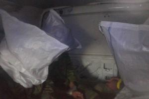 Захват в плен боевиков в районе Широкино привел к жесткой кадровой "чистке" командного состава