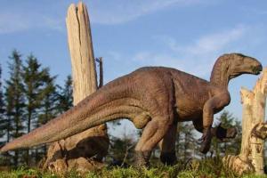 В Китае обнаружены кости гигантского травоядного ящера