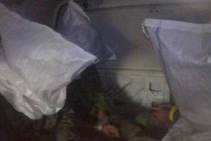 Тандит: боевики, попавшие в плен под Широкино, проводили разведку