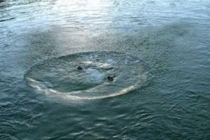 В Луцке из реки выловили двух утопленников: имена мужчины и женщины пока не установлены