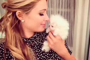 Каких необычных домашних животных заводят звезды шоу-бизнеса