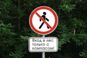 На Львовщине спасатели ищут в лесу пропавшего работника турбазы