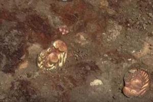 Археологи из Харькова при раскопках нашли золото скифов на Полтавщине
