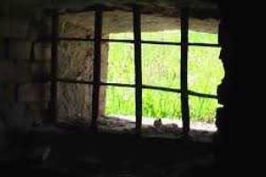 Реалии "ДНР": "подвалы", пытки, унижения и стремление выжить